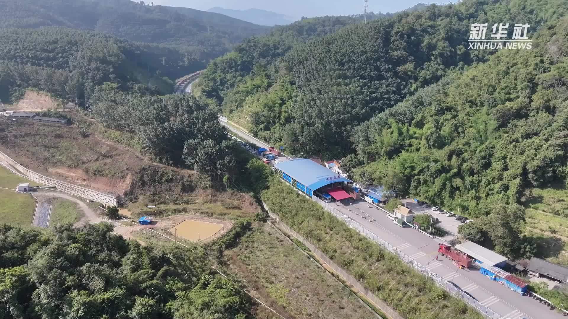 中老新榨季甘蔗跨境运输启动 93万吨甘蔗将入境