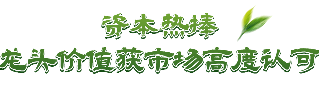 上市！“高端中国茶第一股”，来自深圳罗湖！