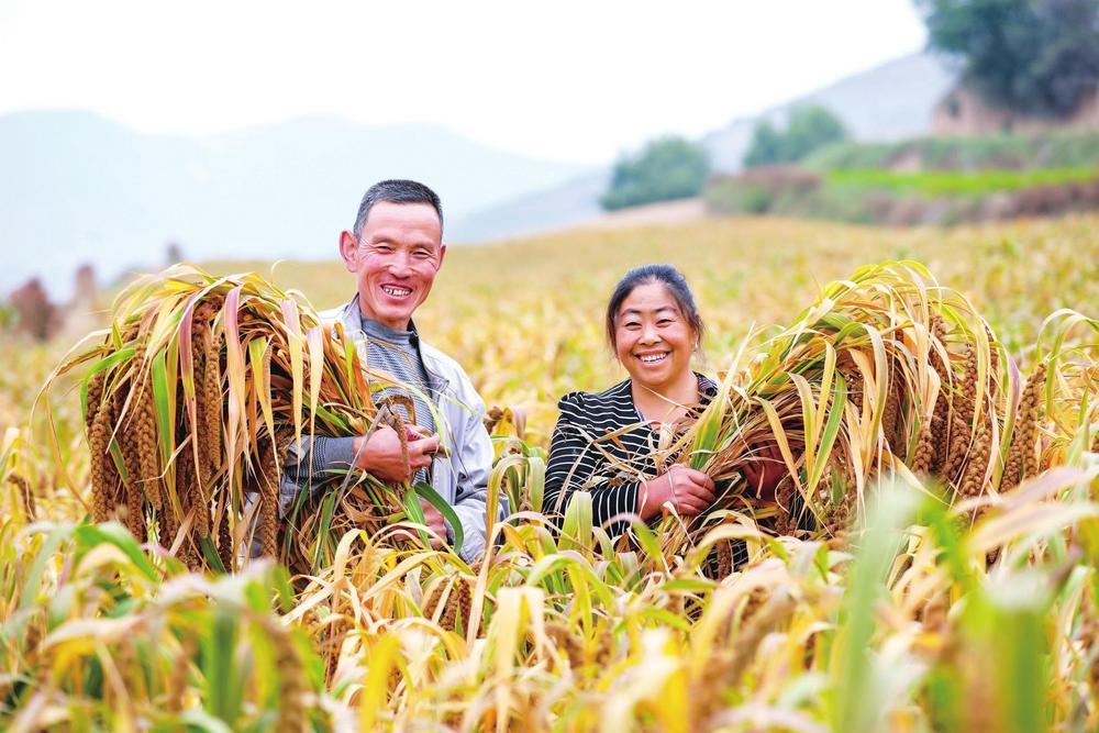 甘肃会宁秋收季“丰”景正好