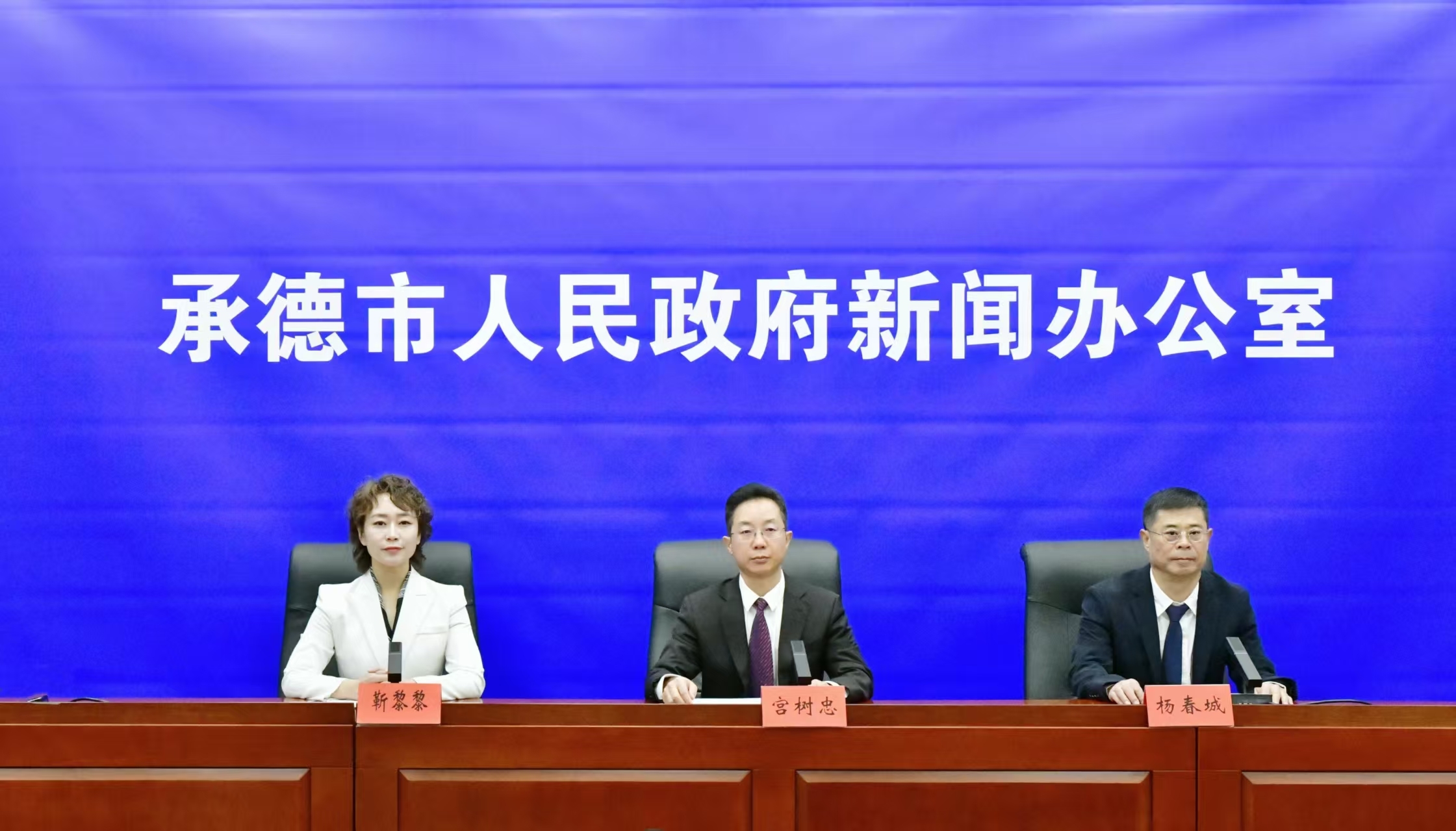 发布会 王占平摄