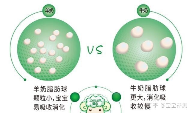 点击查看原始图片