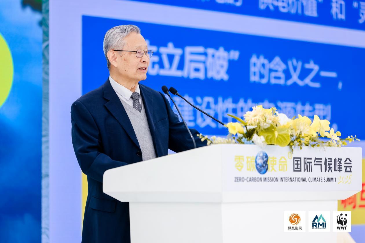 中国工程院院士，国家能源咨询专家委员会副主任杜祥琬