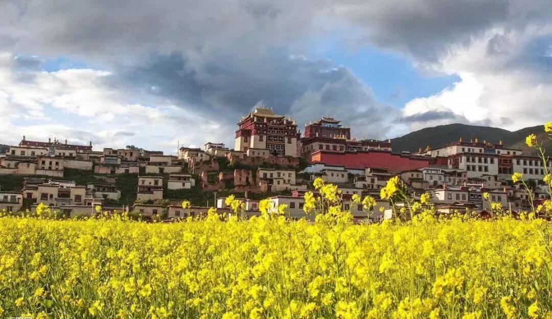 王多鱼打扑克在线直播尊龙凯时- 尊龙凯时官方网站- APP下载