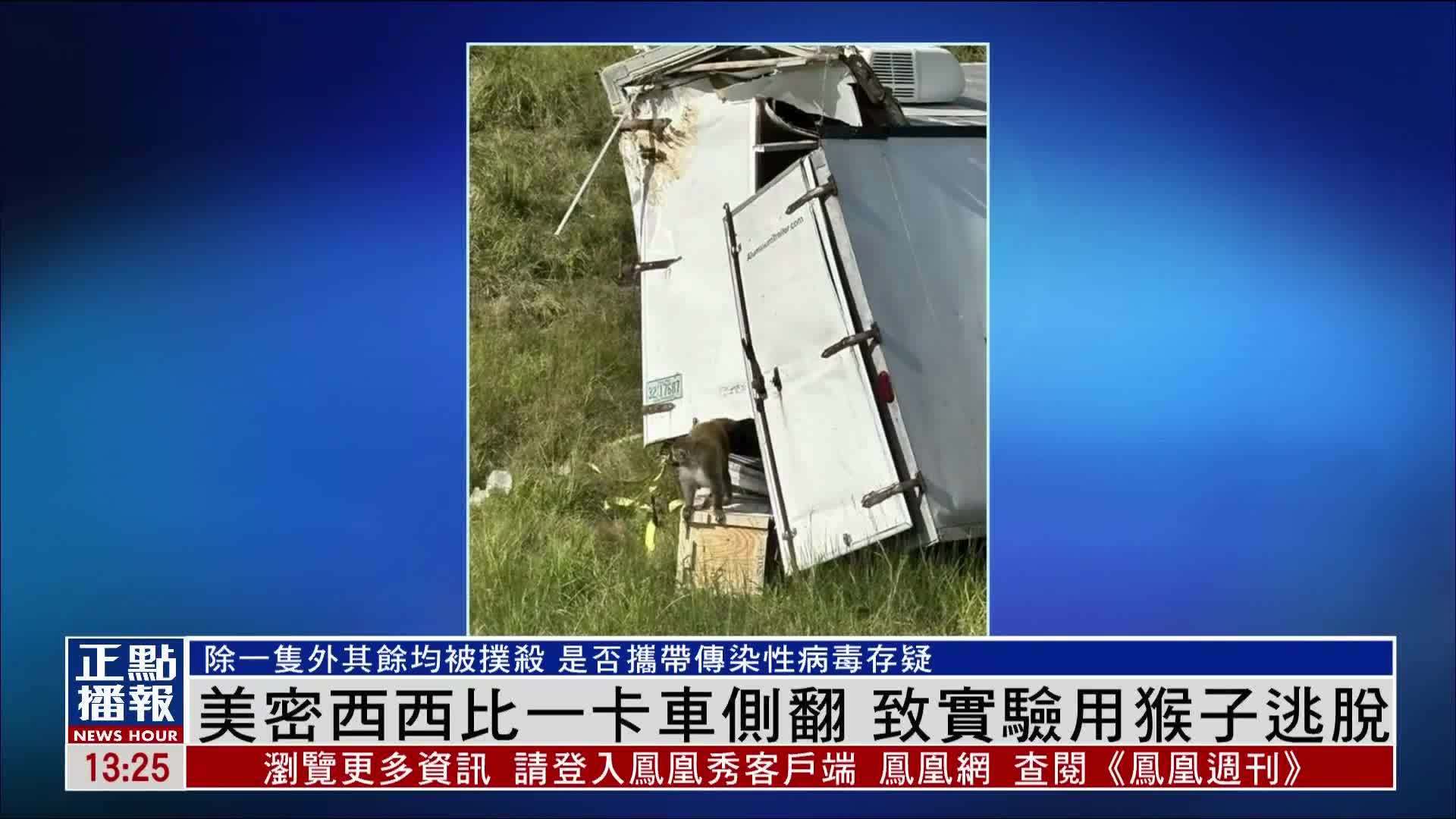 美国密西西比一卡车侧翻 致实验用猴子逃脱