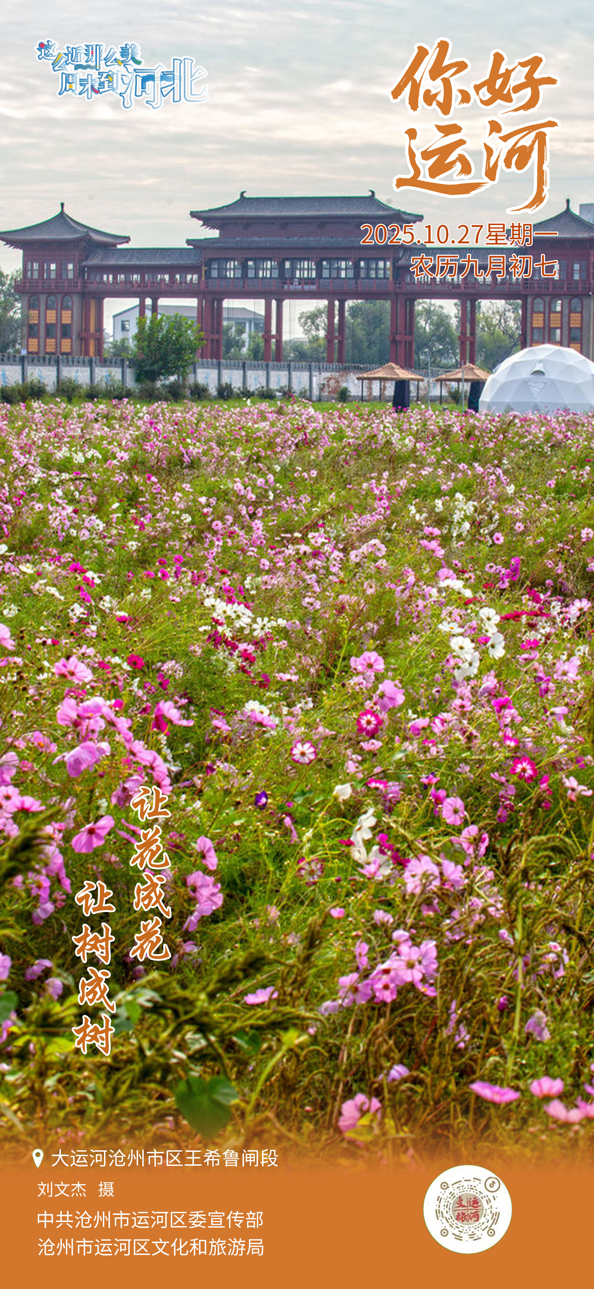 “你好，运河”（180）：让花成花