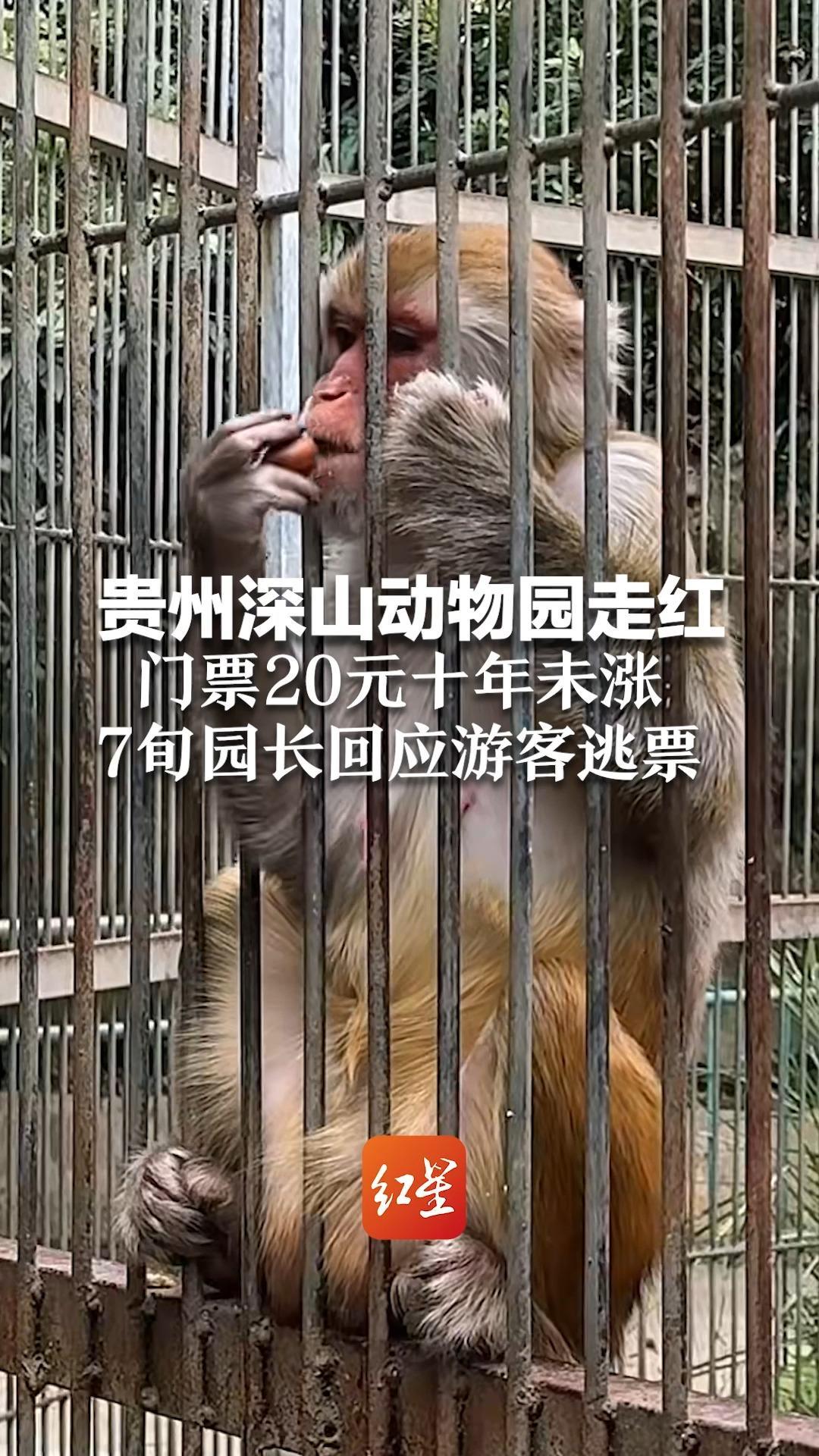 贵州深山动物园走红 门票20元十年未涨 7旬园长回应游客逃票：只不过少收两个钱，大家高兴就好