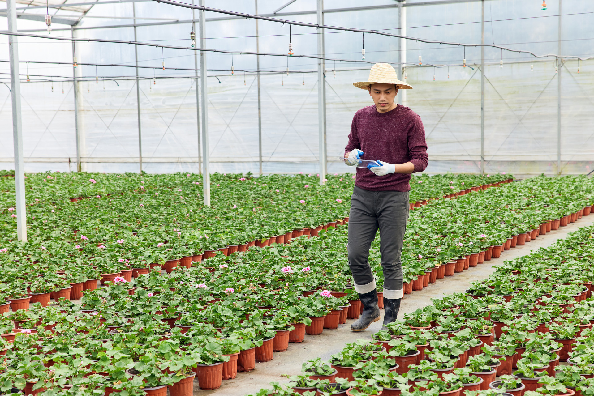 即墨区推动农业高质量发展 强化科技赋能和人才支撑