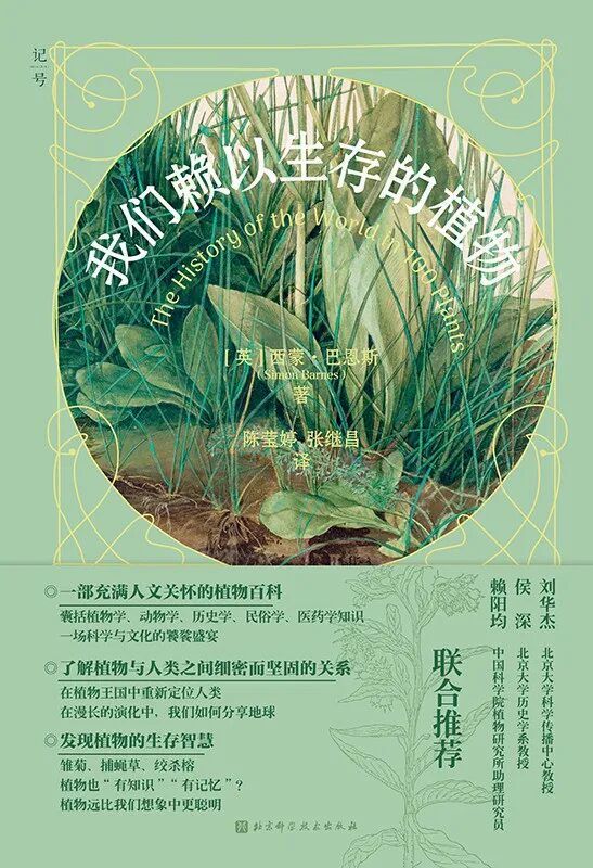 接受生命的不完美与流动本质 | 10月新书，推荐这11本