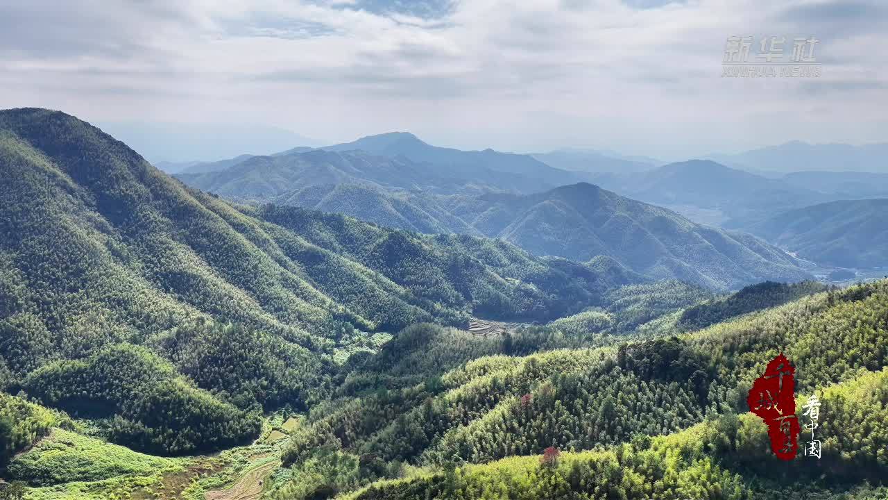 千城百县看中国｜福建松溪：年轮里的守护