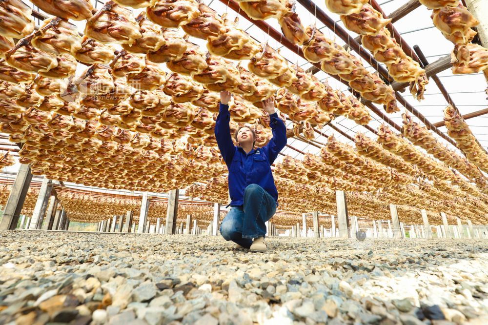 大余县：晾晒板鸭（图）