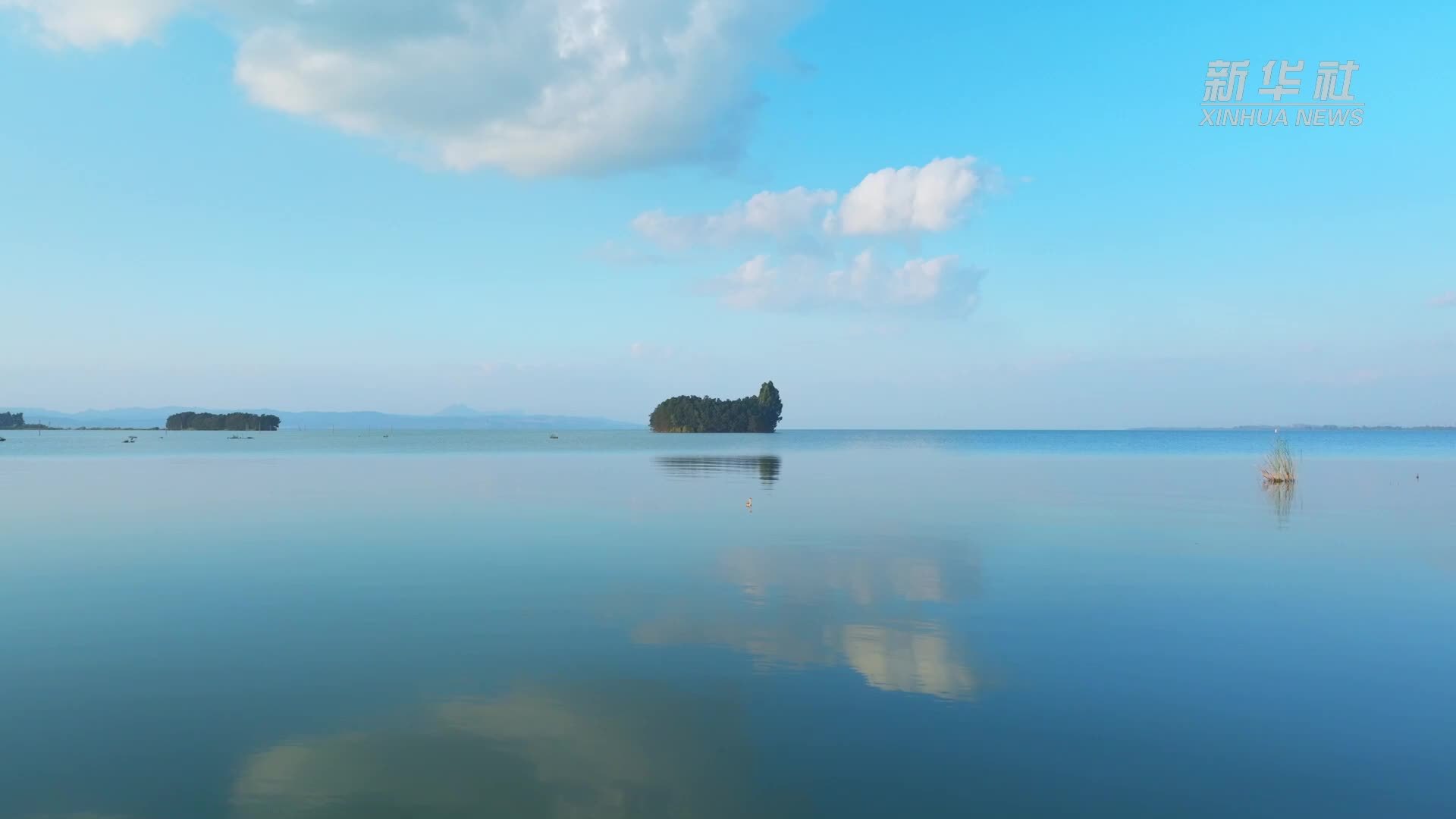 滇池南岸：水杉染秋意 湿地如画卷