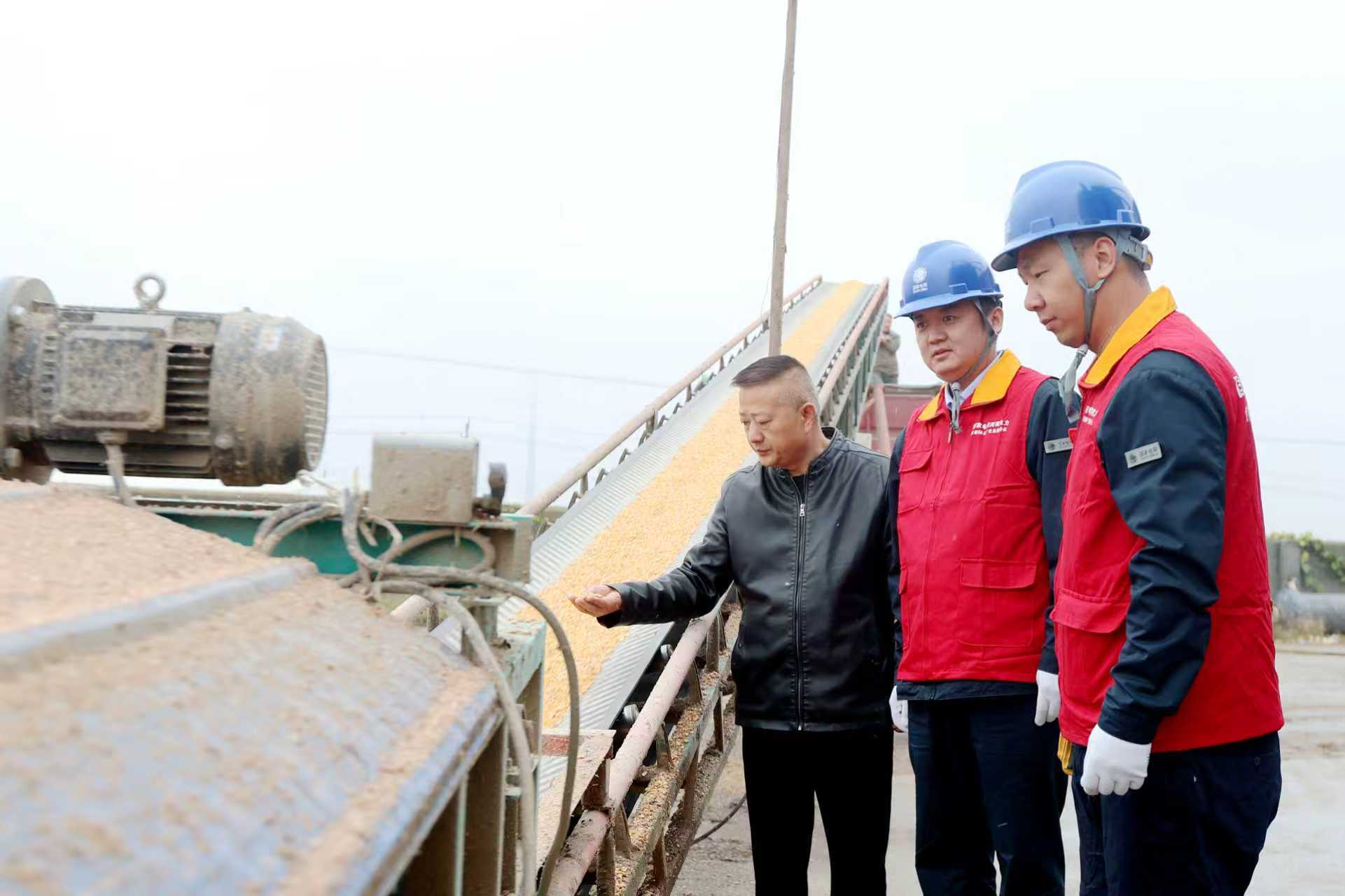 河南鹤壁浚县供电公司焦裕禄共产党员服务队队员到新镇开增种植农机合作社开展用电检查，了解客户用电需求，保障烘干设备在秋收期间用电无忧。（王世文）