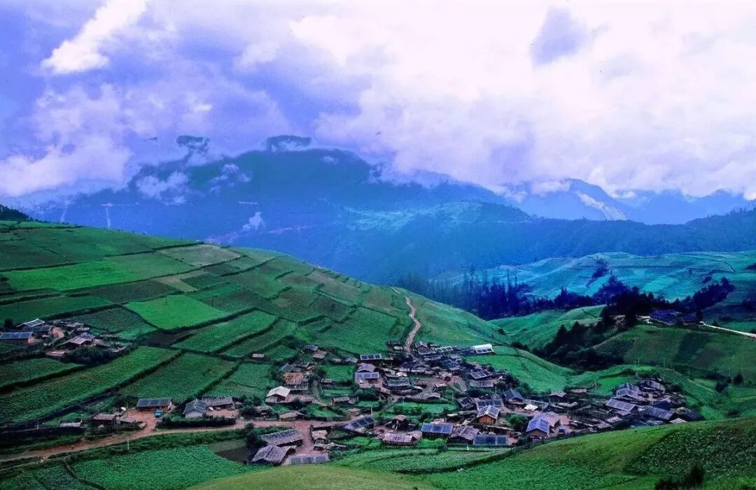 构筑具有国尊龙凯时- 尊龙凯时官方网站- 尊龙凯时APP下载际影响力生物产业体系