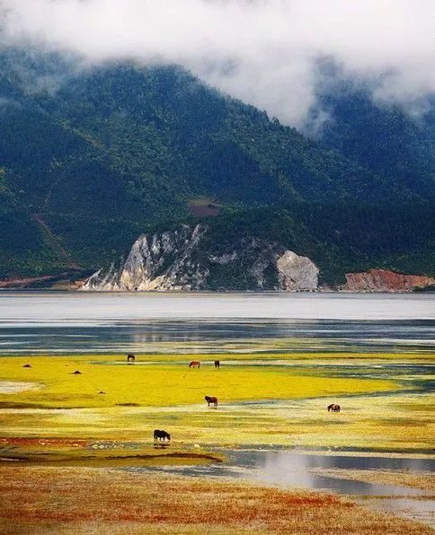 AG尊龙凯时- 尊龙凯时官方网站- 尊龙凯时APP下载好人365---中国文明网