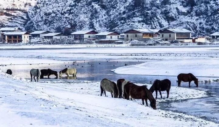 AG尊龙凯时- 尊龙凯时官方网站- 尊龙凯时APP下载关于350vip浦京集团