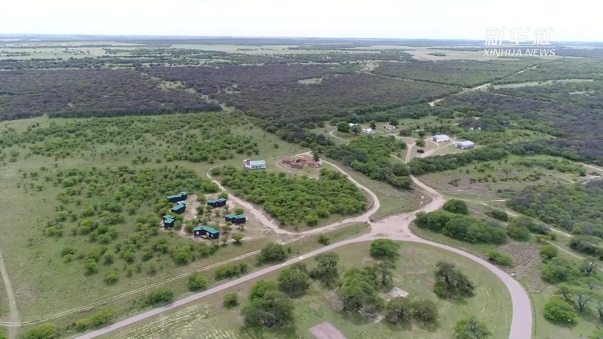 阿根廷牛肉企业期待借进博会扩大出口