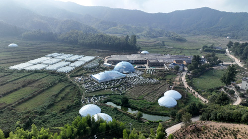 上寨村千亩无人机生态雾耕产业基地