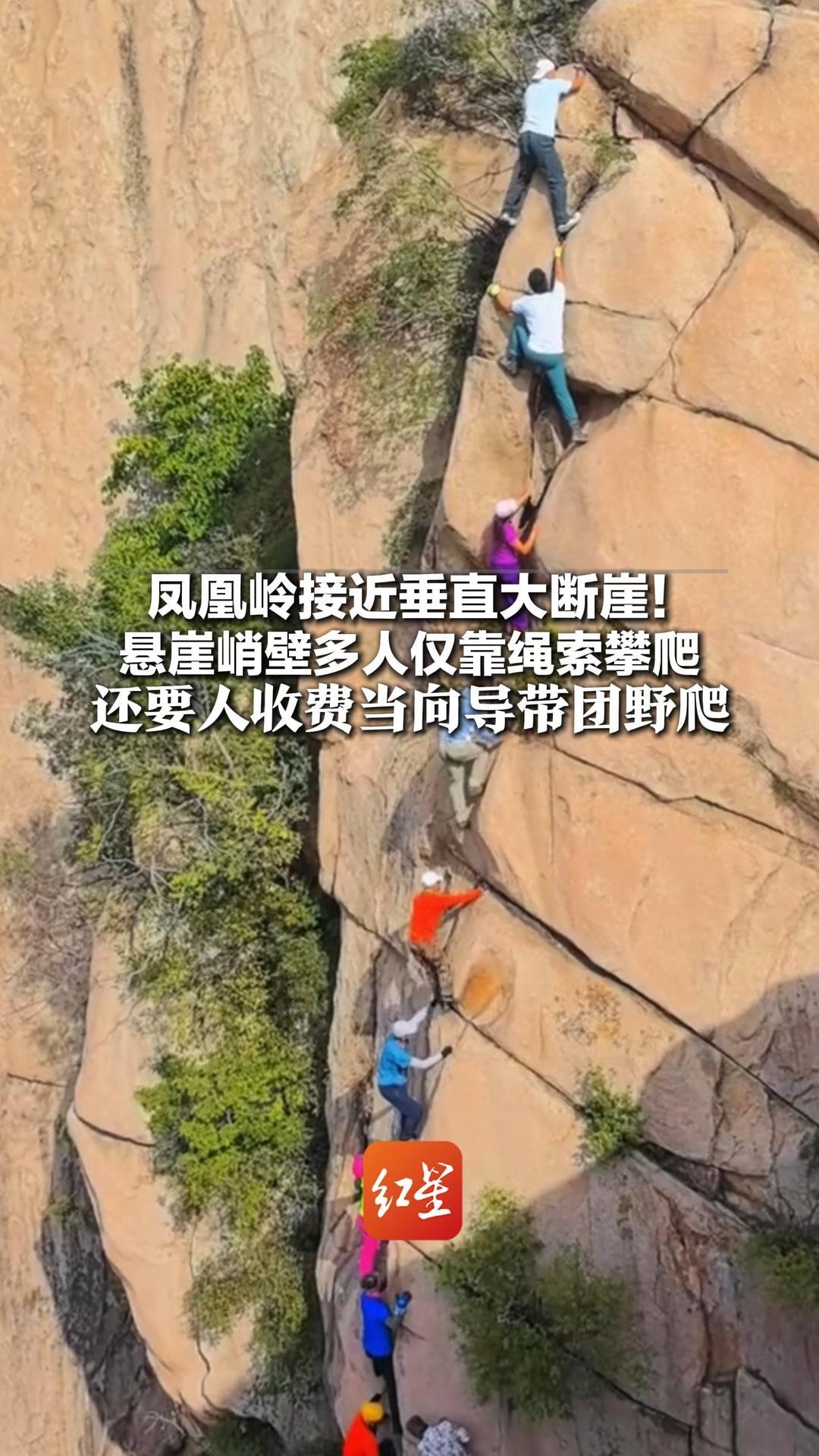 凤凰岭接近垂直大断崖！悬崖峭壁多人仅靠绳索攀爬 还要人收费当向导带团野爬 当地：将跟进调查