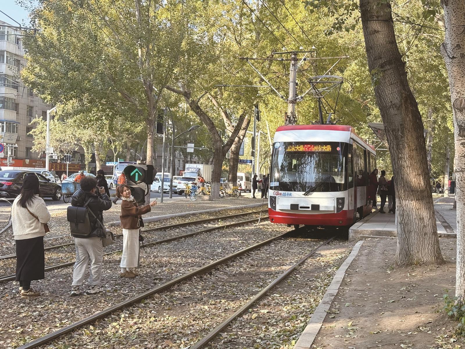 感受“落叶不扫”的浪漫 本组图片 城市晚报全媒体记者 刘佳雪 摄