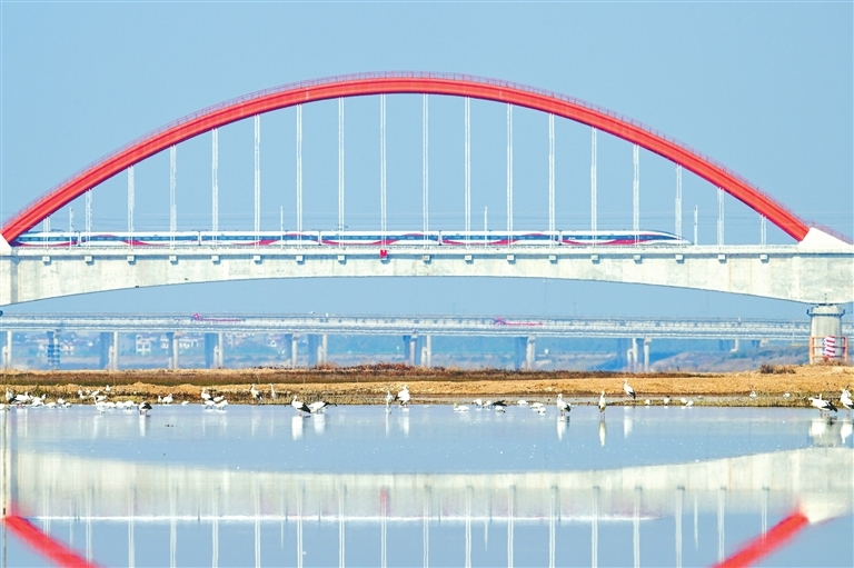 一辆高速列车在杭昌高铁黄昌段鄱阳湖特大桥疾驰而过。本报全媒体记者 洪子波摄