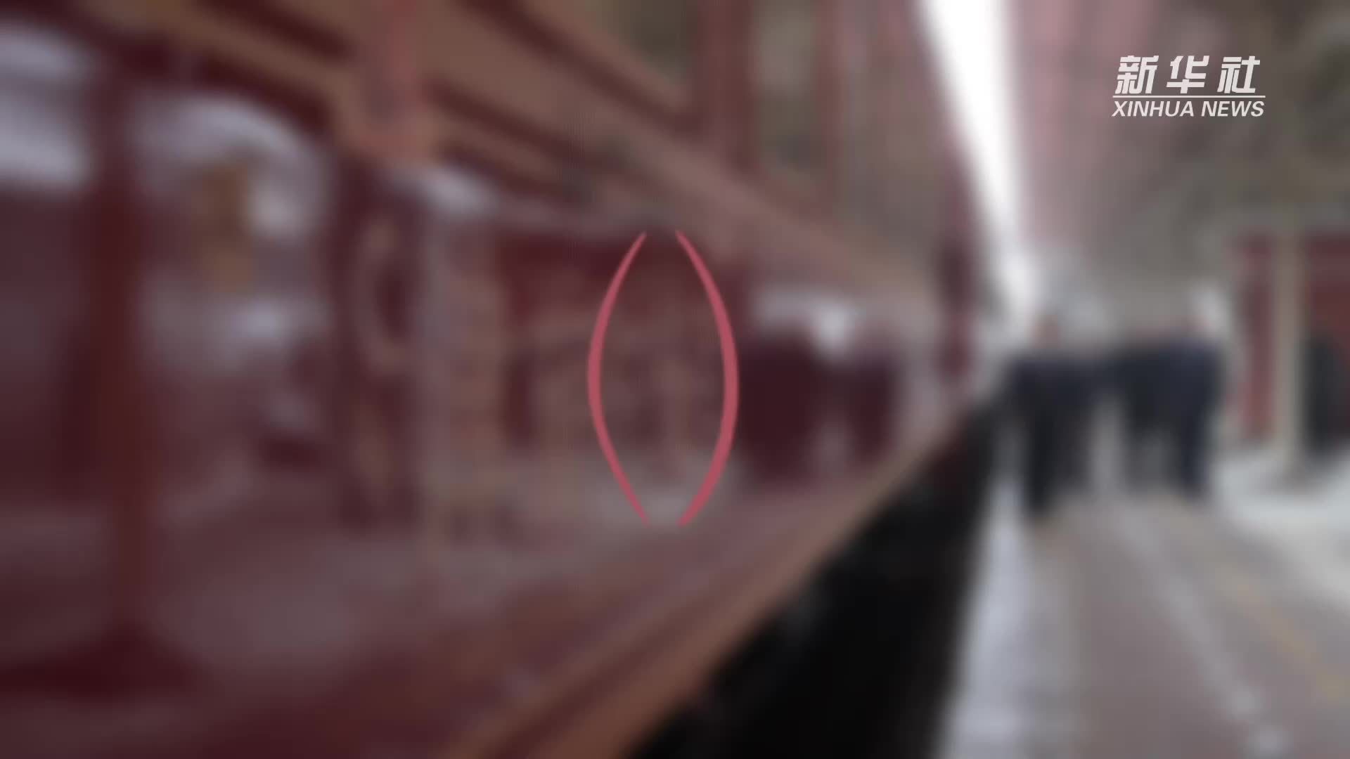 沉浸式文旅专列“穿越”奇幻时光