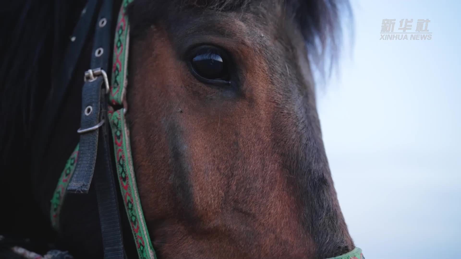 跟着非遗游内蒙古丨鄂尔多斯：努力构建非遗创新生态圈