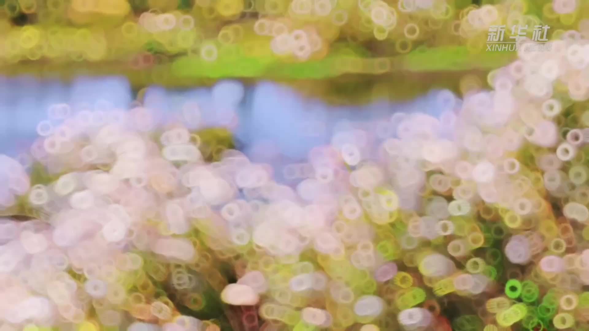 江西湖口：“蟹”逅江湖