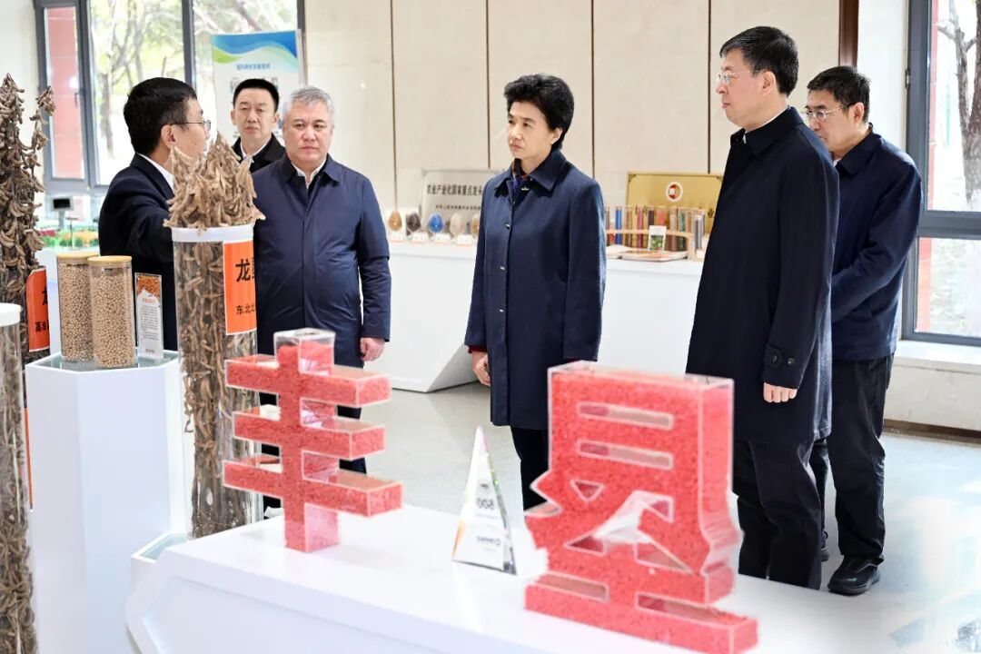 梁惠玲来到北大荒垦丰种业股份有限公司,了解企业生物育种及经营情况。