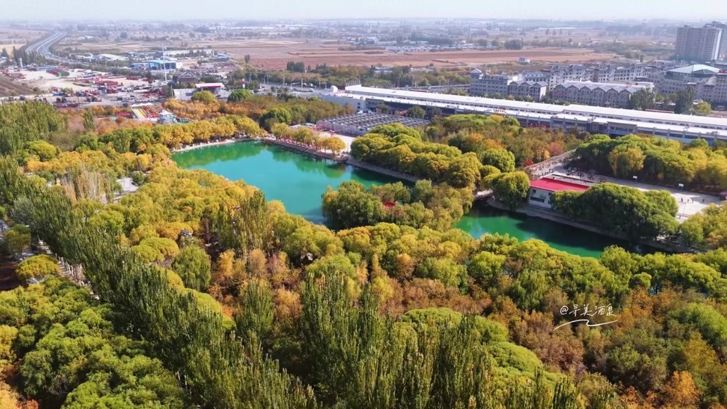 秋日甘肃肃州美成了诗　我想带你去看看