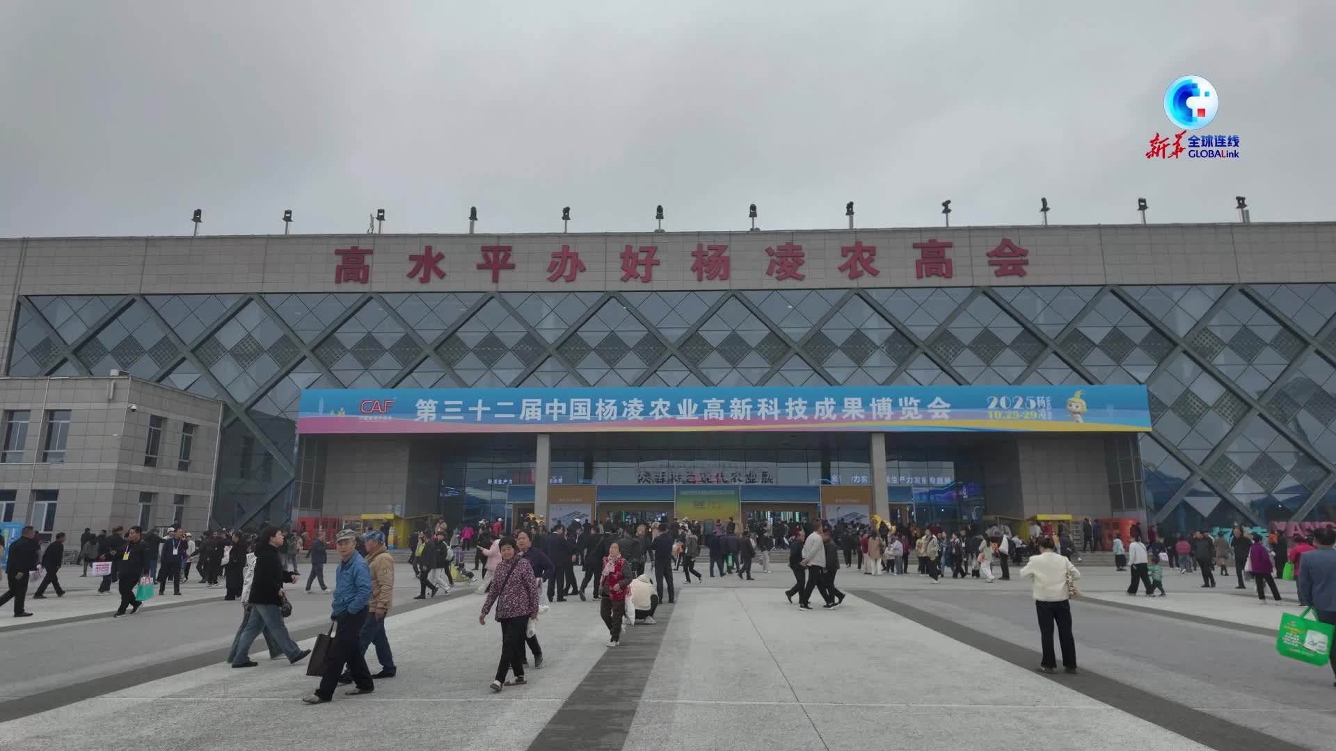 全球连线｜中国“农科城”杨凌搭建上合组织农业交流合作平台