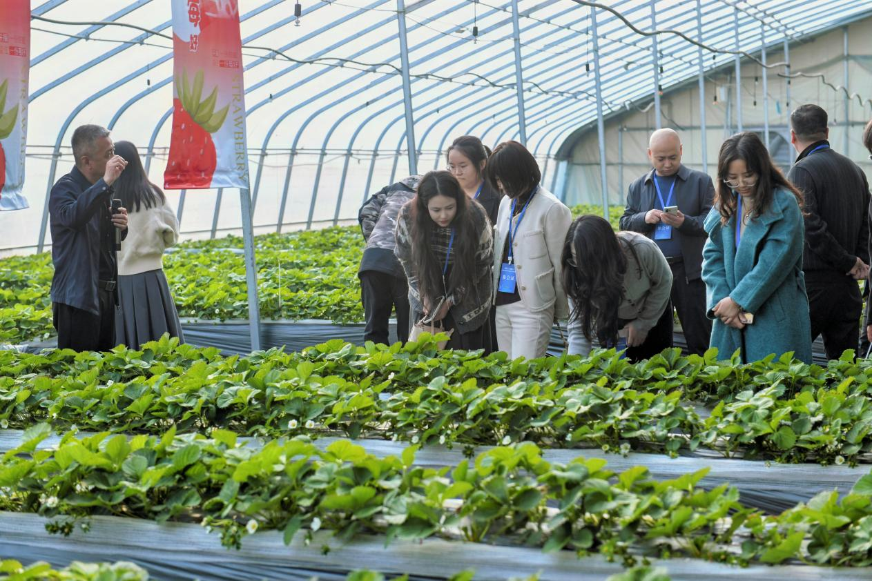 数字兴农遍乡野 智惠乡村启新程——西安市召开数字乡村建设工作推进会