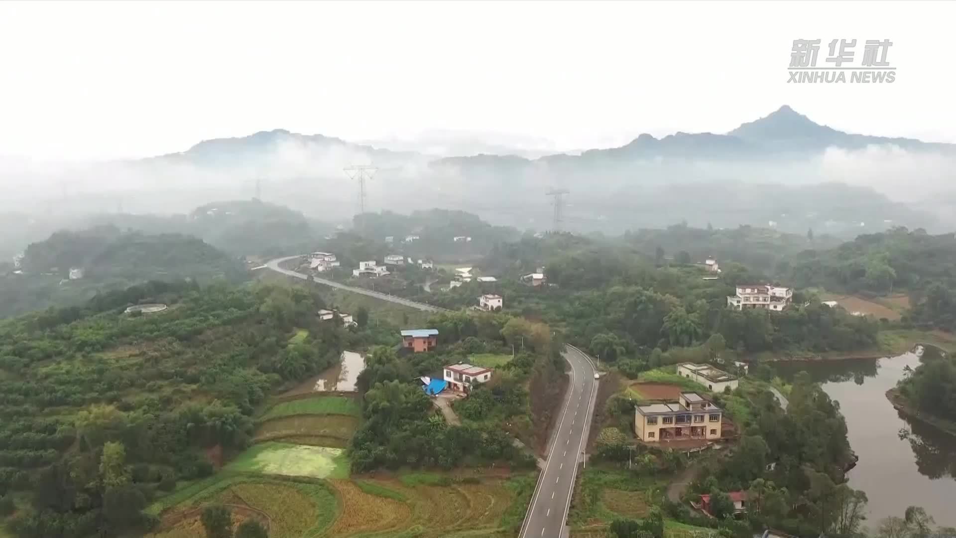 四川合江：多管齐下 让柚子成为助农增收“金果子”