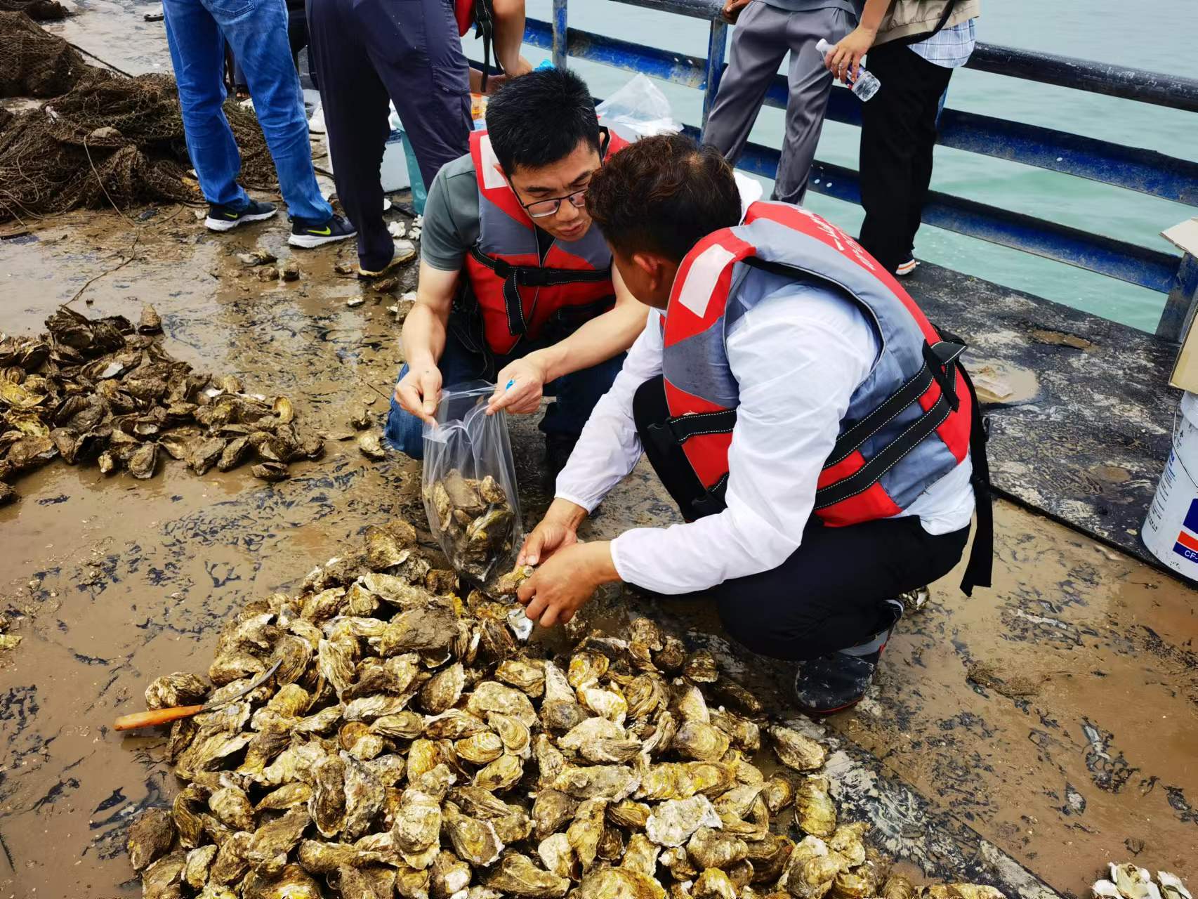 科技赋能乡村振兴显成效!万里学院“蓝色粮仓”案例入选省级典型