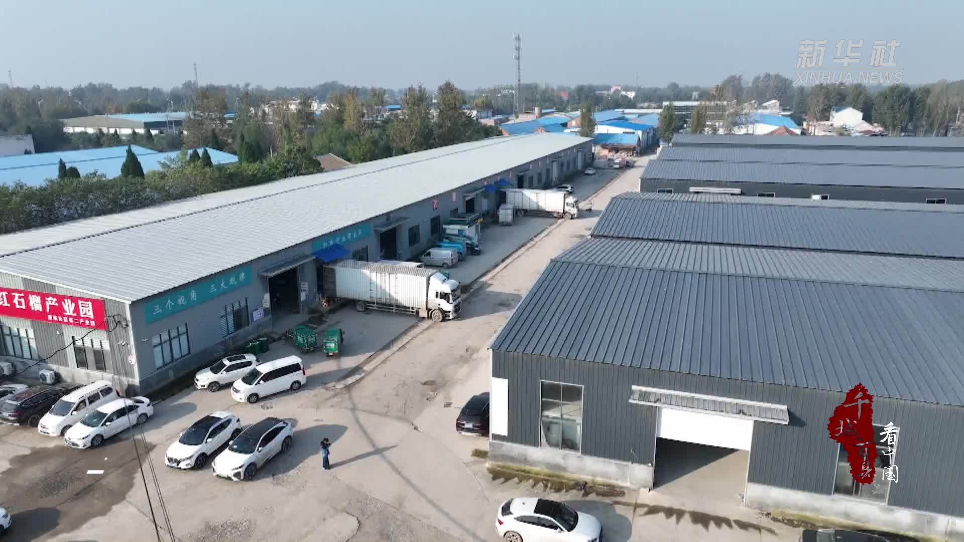 千城百县看中国｜山东定陶：快递行业开足马力 智能化设备助力提速减负