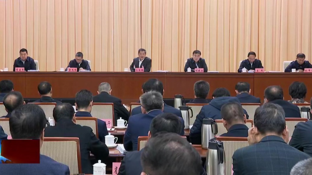 任振鹤：以高水平的项目谋划为“十五五”发展提供有力支撑