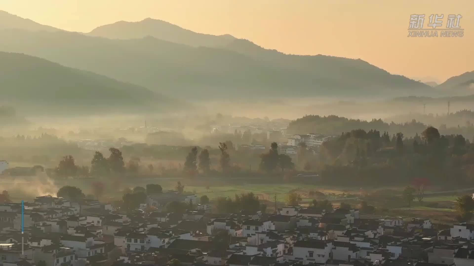 第三届徽学学术大会：让徽州文化在新时代熠熠生辉
