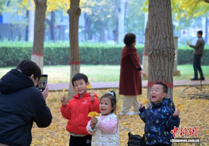 11月5日，河北石家庄街边一公园，民众赏秋景、拍美照，尽享秋日惬意。中新社记者 翟羽佳 摄