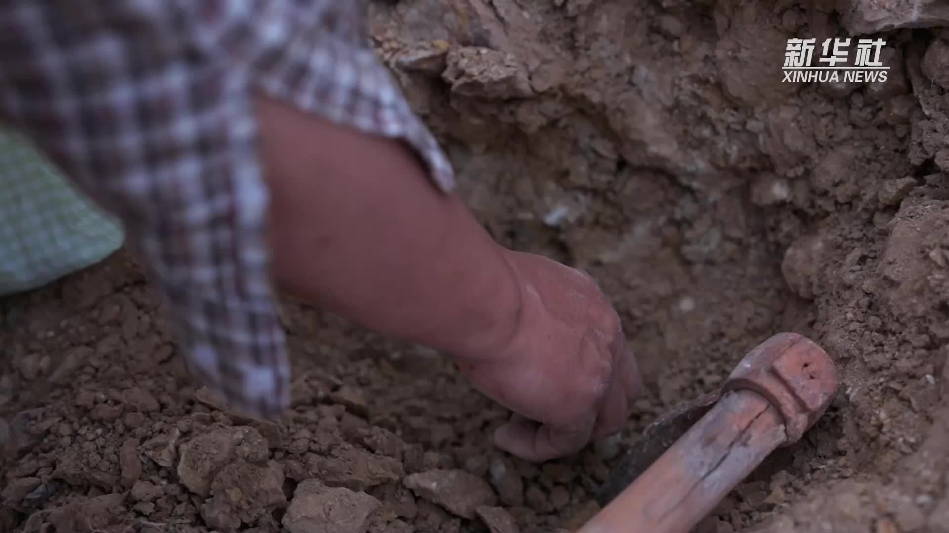 新时代中国调研行之文化中华｜非遗“杂多红陶”的前世今生