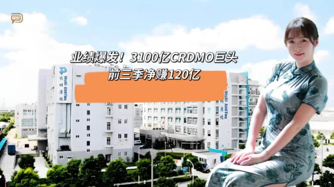 3100亿CRDMO巨头，前三季净赚120亿