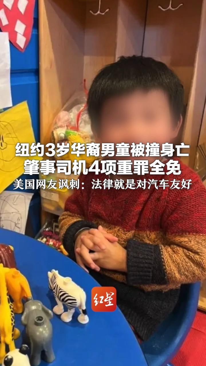 纽约3岁华裔男童被撞身亡 肇事司机4项重罪全免 或无需入狱 美国网友讽刺：法律就是对汽车友好