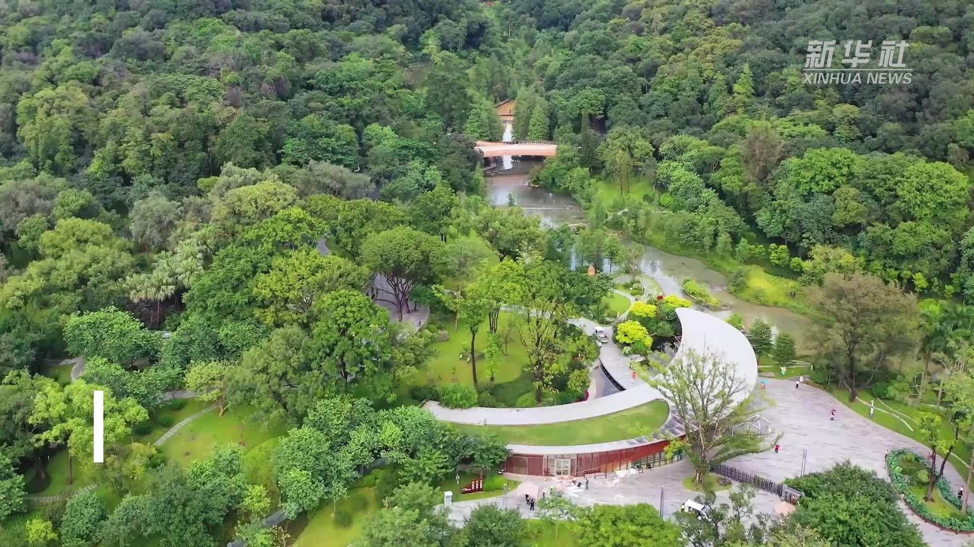 全运会期间广州推出沉浸式创艺生活园