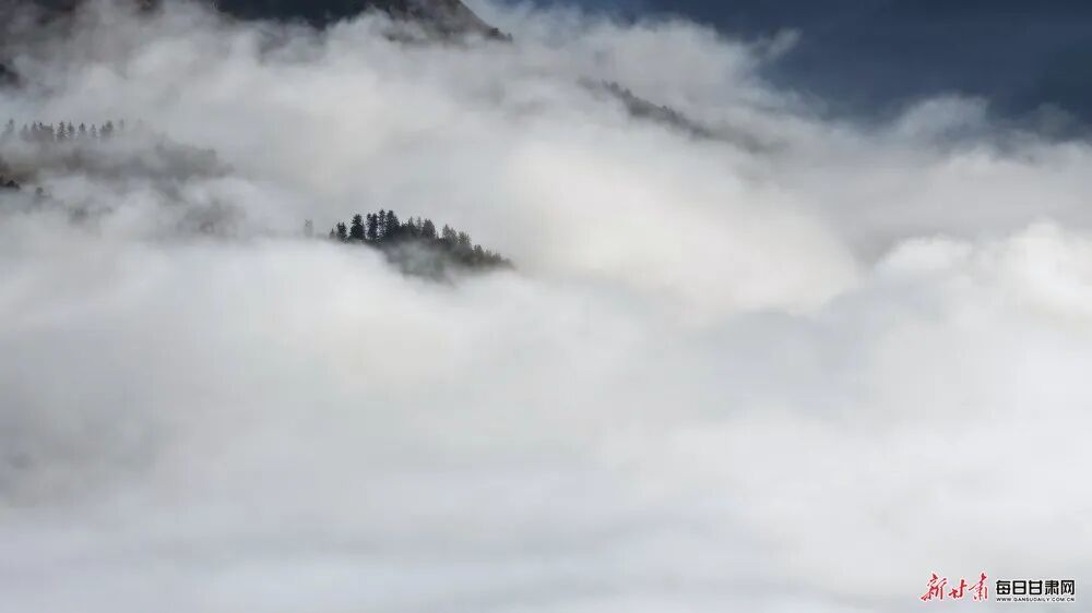 秋季到甘肃看“海” 畅游云端当自在小神仙