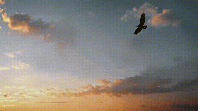 硅谷华人女CEO杀入,全球首家AI电影厂引爆“AI韩流”