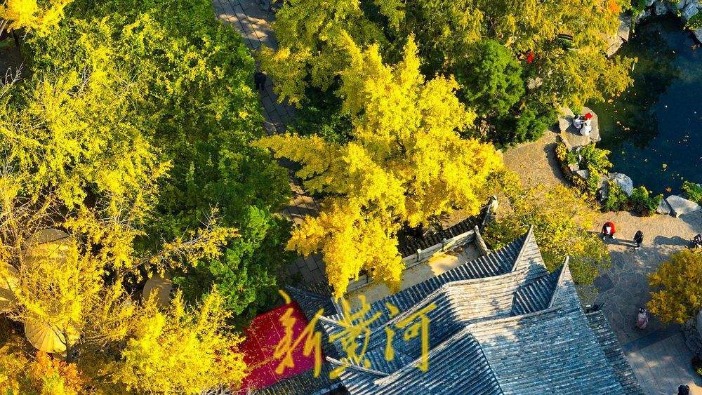 济南趵突泉公园开启变色模式，层林浸染触摸诗情画意