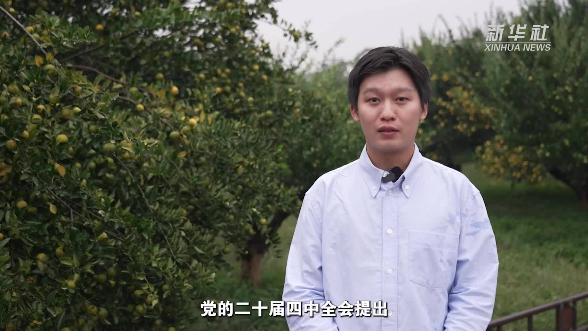 四中全会精神在基层｜“金果子”变“钱袋子”江西农业“精耕智种”