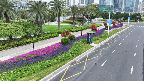 DJI_20251030123245_0007_D202510311239401.gif