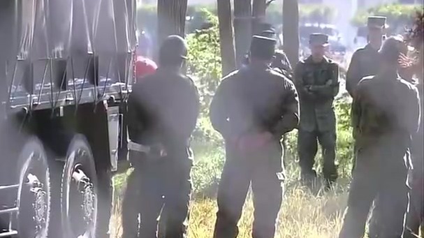 日本熊害恶化，自卫队赴秋田猎熊