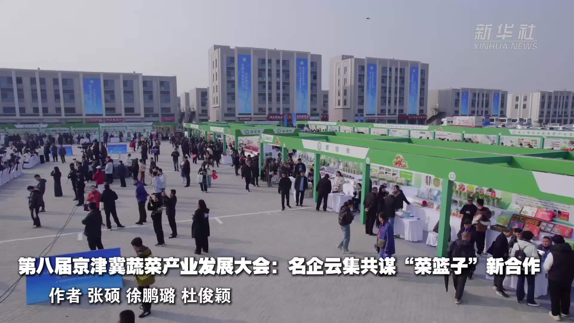 第八届京津冀蔬菜产业发展大会：名企云集共谋“菜篮子”新合作