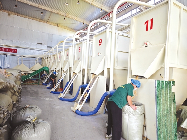 ①南阳宛城区健康快讯药业公司的生产车间。