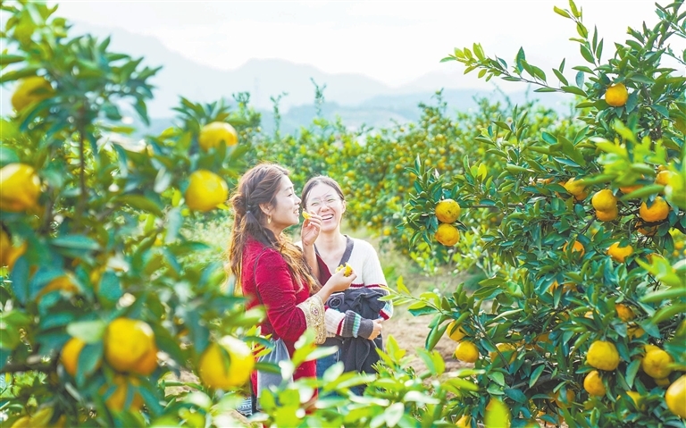 鲜果飘香（图）